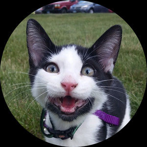 Meet your Posher, Jason